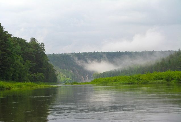 Сегодня, 17 ноября